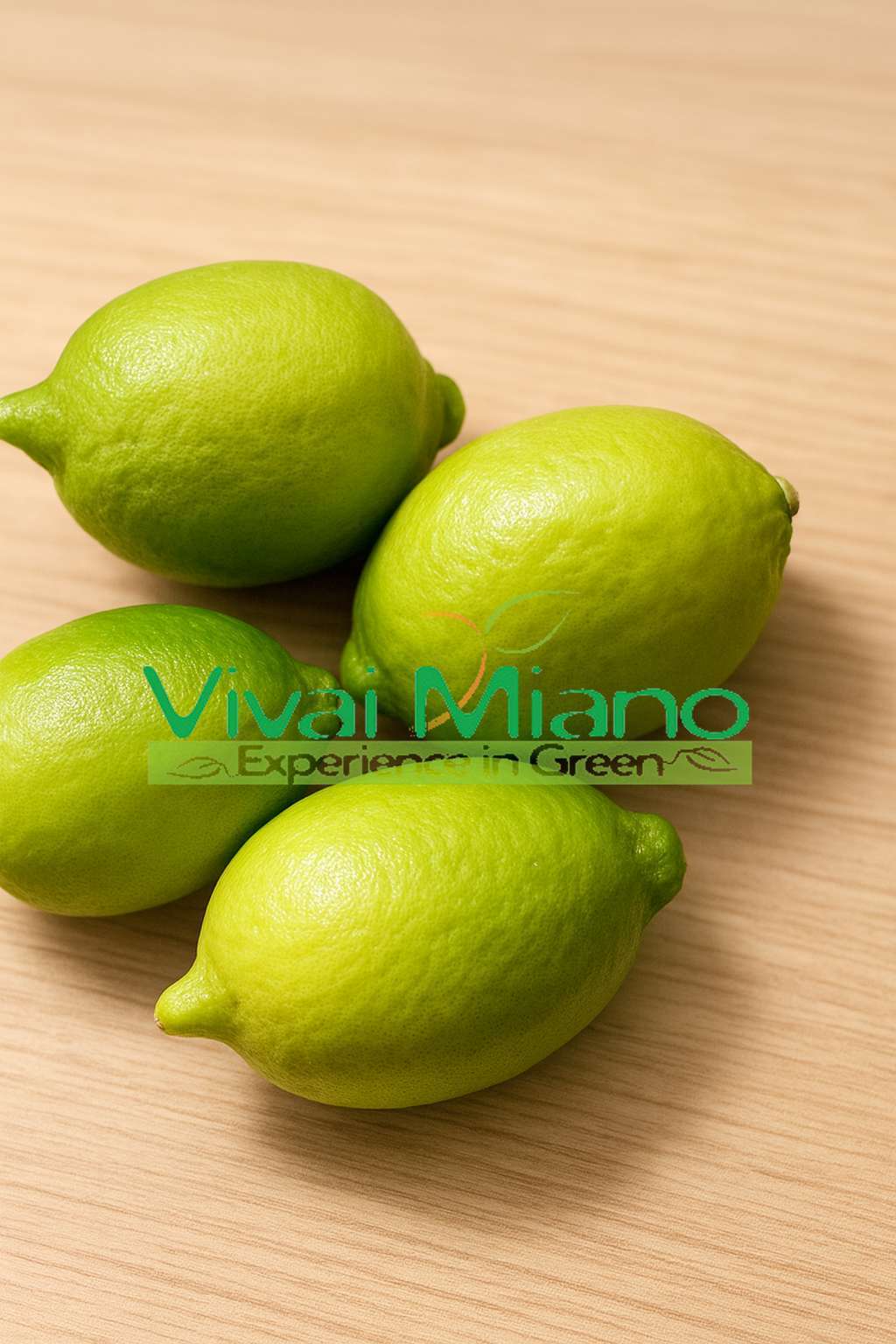 Pianta di Limone Interdonato