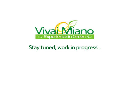 Pianta di Limone (Cespuglio - vaso 35)