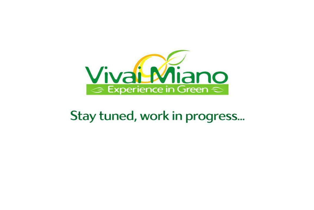 Pianta di Pompelmo (Cespuglio - vaso 35)